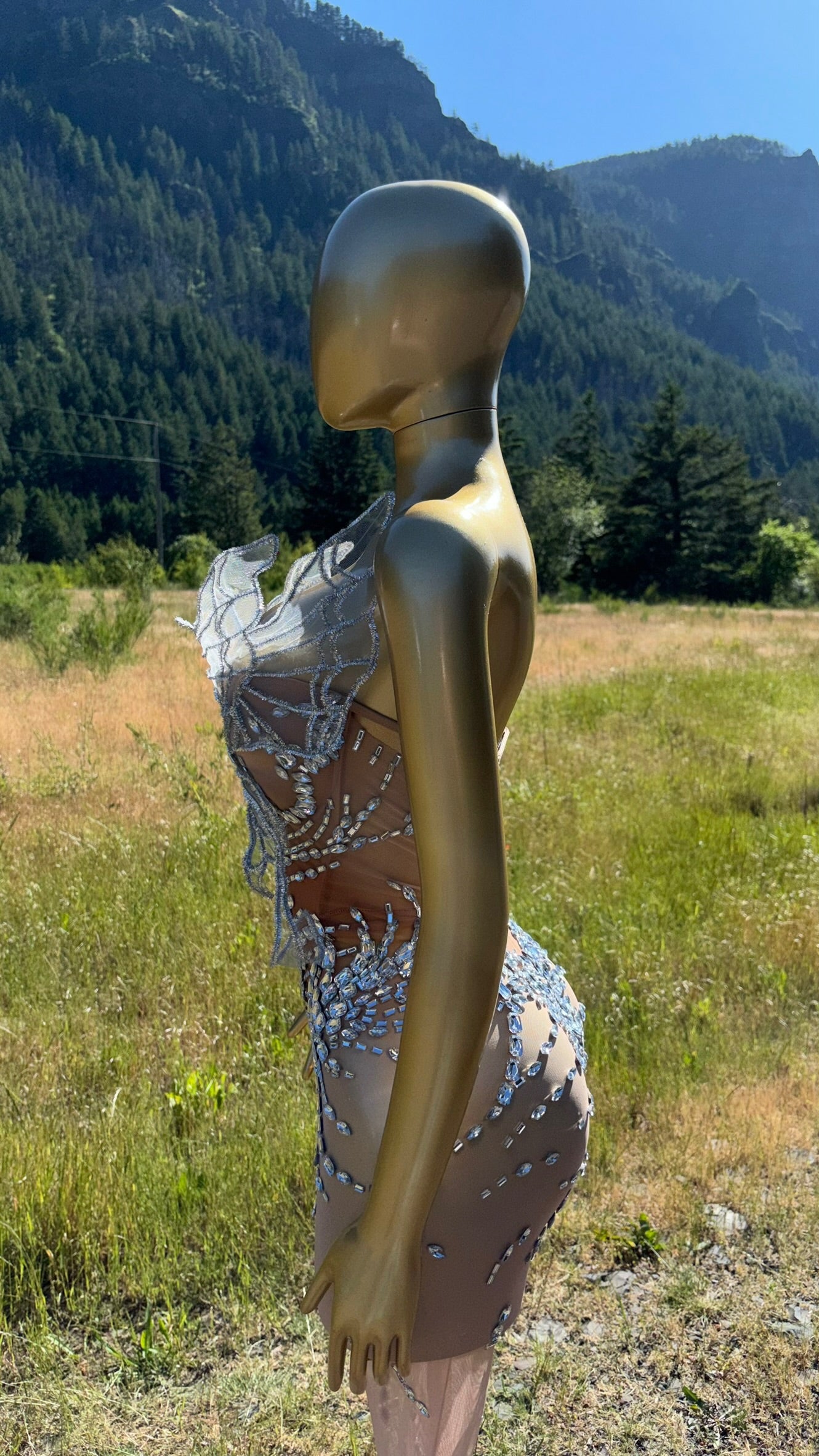 The Butterfly Effect Catsuit