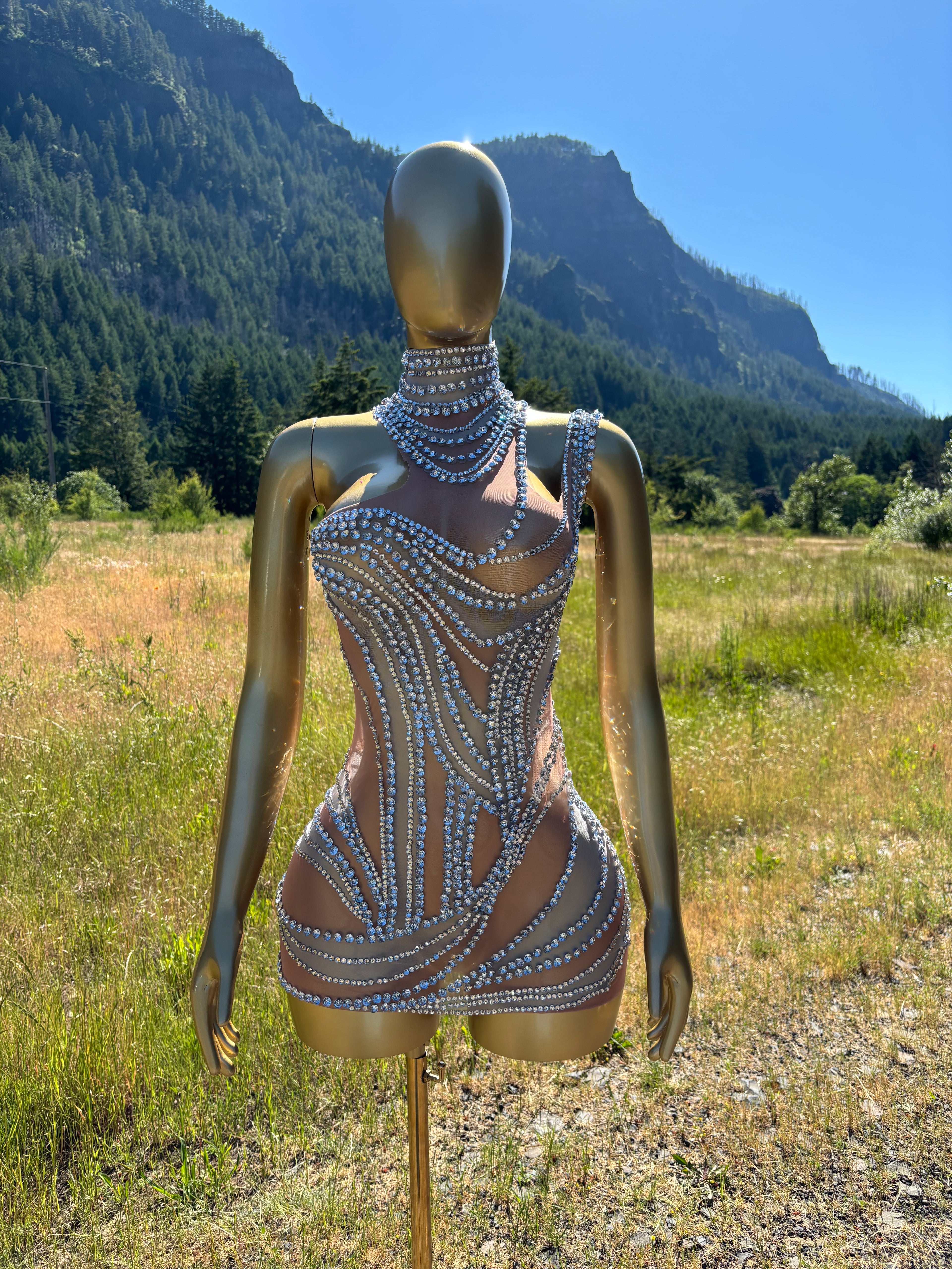 Rhinestone Muse Mini Dress